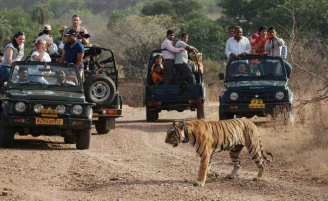 From Delhi: 7-Day Golden Triangle Trip & Ranthambore Safari - Highlights of the Trip