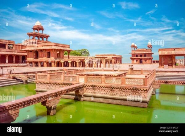 From Delhi: 7-Day Golden Triangle Trip & Ranthambore Safari - The Sum Up