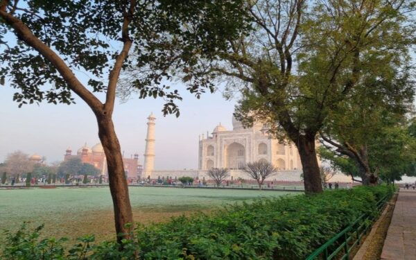 From Delhi: 7 Days Golden Triangle Tour With Ranthambore - Essential Information for Participants