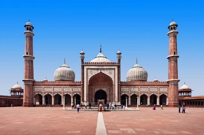 From Delhi Airport: Guided Layover Delhi City Tour - Tour Itinerary