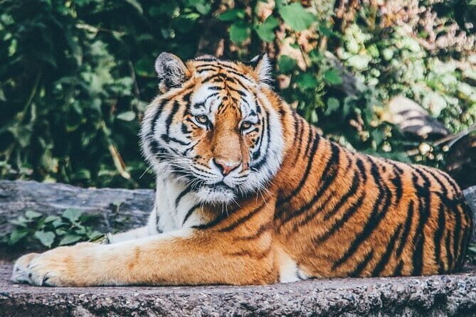 From Delhi: All-Inclusive Taj Mahal Sunrise & Agra Fort Private - FAQs