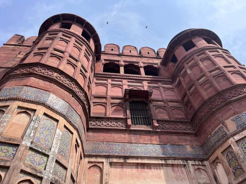 From Delhi: Day Trip to Taj Mahal, Agra Fort & Elephant SOS - Who Is This Tour Best For?