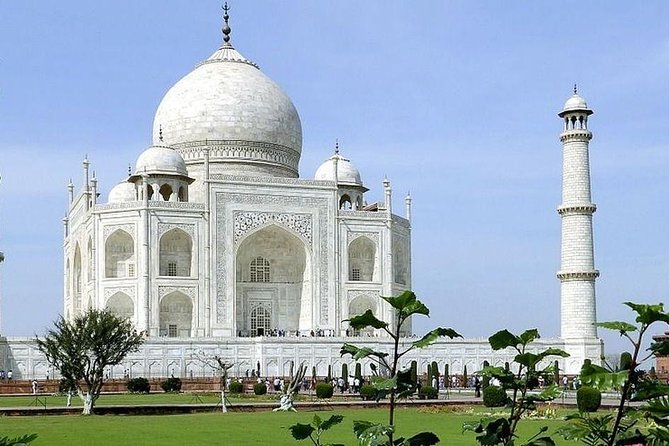 From Delhi : Delhi Private Day Tour - Logistics