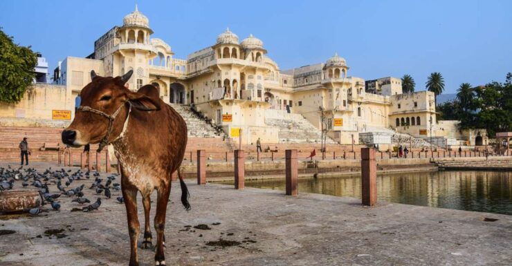 From Delhi: Full Day Jaipur City Guided Tour With Lunch - Itinerary