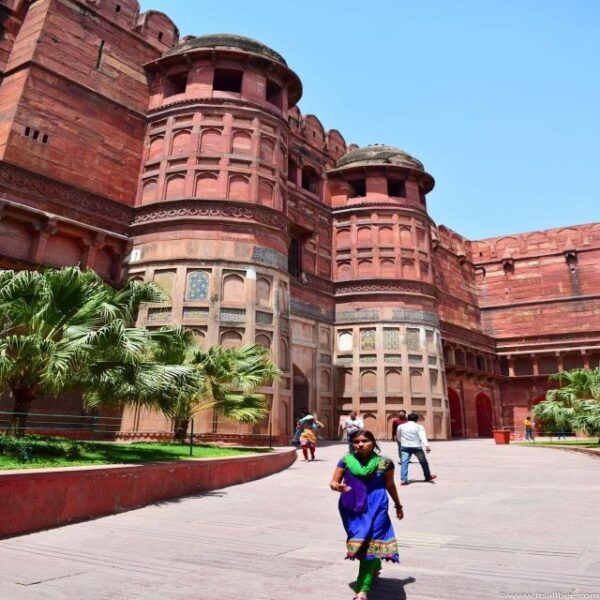 From Delhi: Golden Triangle Tour With Tiger Safari - The Sum Up