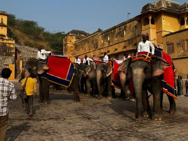 From Delhi :- Golden Triangle Tour With Varanasi 7n/8d - Booking Details and Pricing