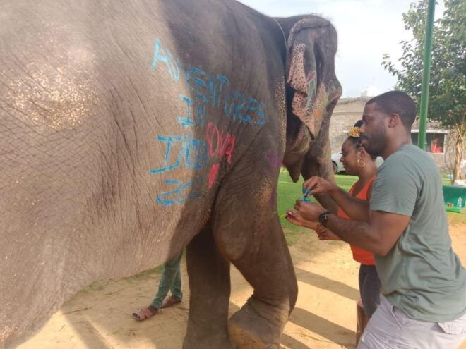 From Delhi: Jaipur Day Tour by Car - Exclusions