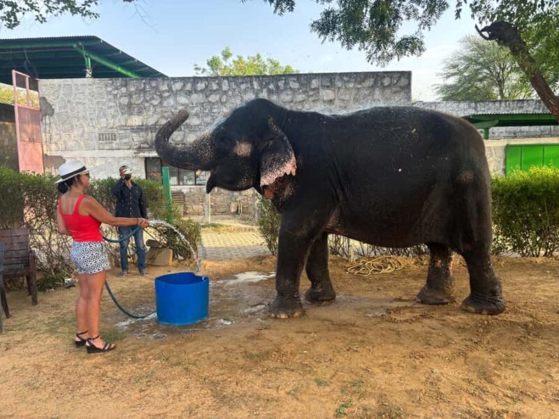 From Delhi: Jaipur Guided City Tour By AC Car - Who Should Consider This Tour?
