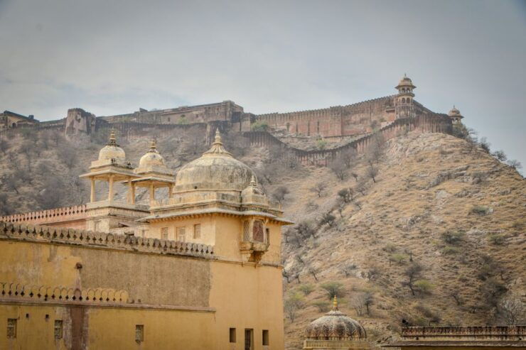 From Delhi: Jaipur Local Sightseeing Tour By Private Car - Tour Details and Highlights