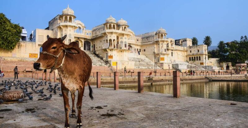 From Delhi: Jaipur Private Day Trip with Guide - Good To Know