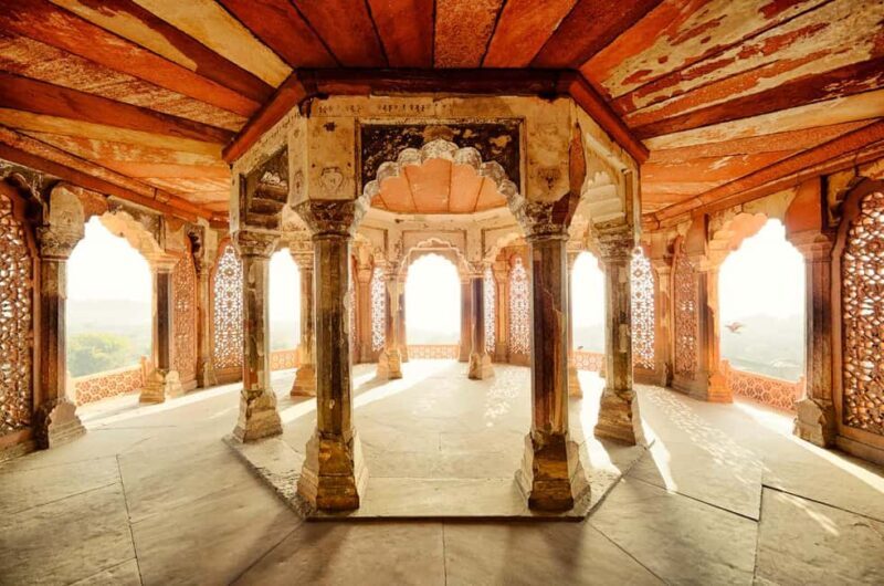 From Delhi/Jaipur: Taj Mahal & Elephant SOS Tour with Lunch - Final Thoughts