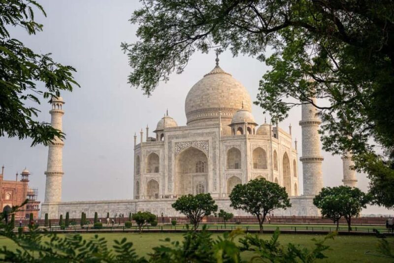 From Delhi/Jaipur: Taj Mahal & Elephant SOS Tour with Lunch - Who Is This Tour Best For?  