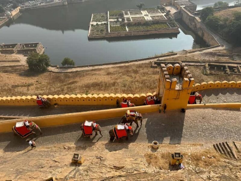 From Delhi: Jaipur Tour with Car, Guide, Tickets & Lunch - Final Thoughts: Who Is This Tour Best For?