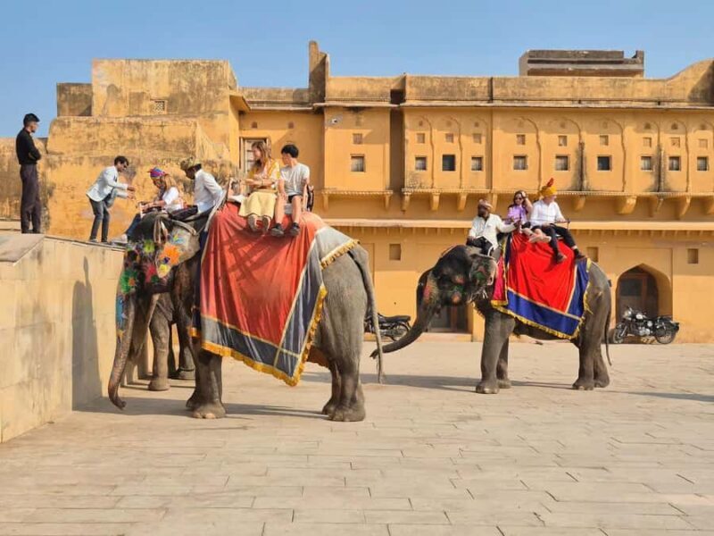 From Delhi: Jaipur Tour with Car, Guide, Tickets & Lunch - Taking in Jaipur’s Palaces & Science