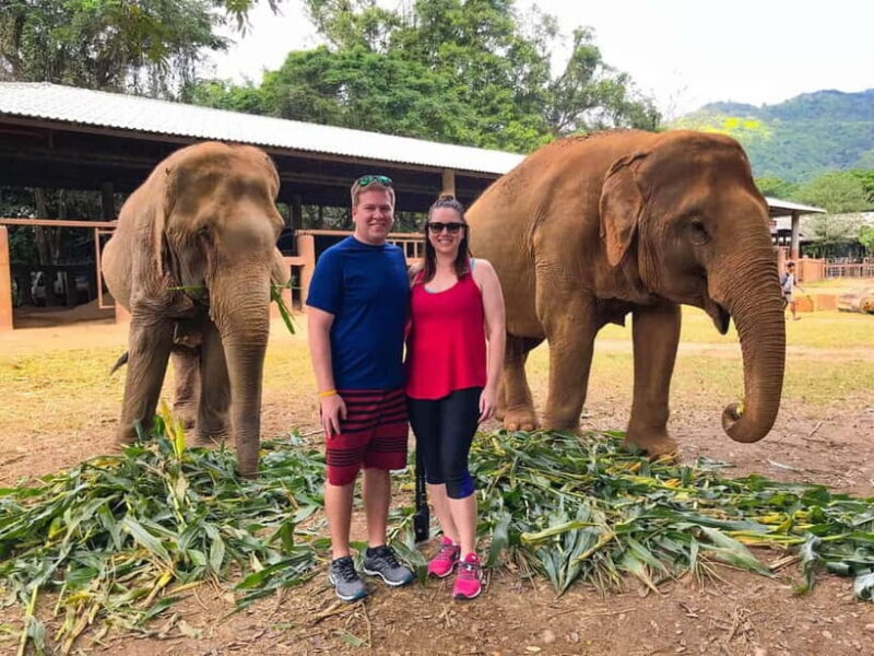 From Delhi: Jaipur Tour with Guide, Transport & Elephants - The Itinerary: What You’ll See and Do