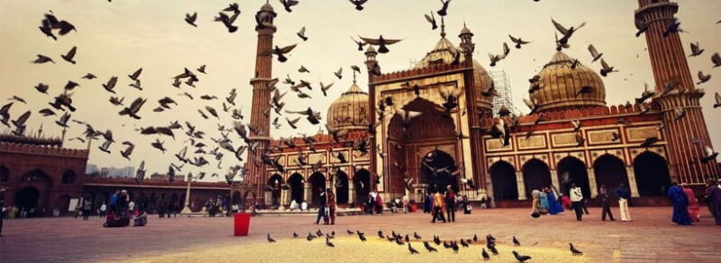 From Delhi: Old & New Delhi Private Sightseeing Tour - A Deep Dive into the Experience