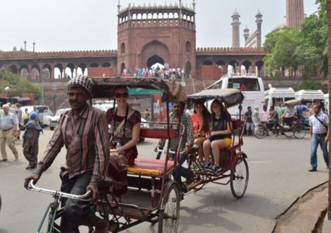From Delhi: Old & New Delhi Private Sightseeing Tour - Customer Reviews
