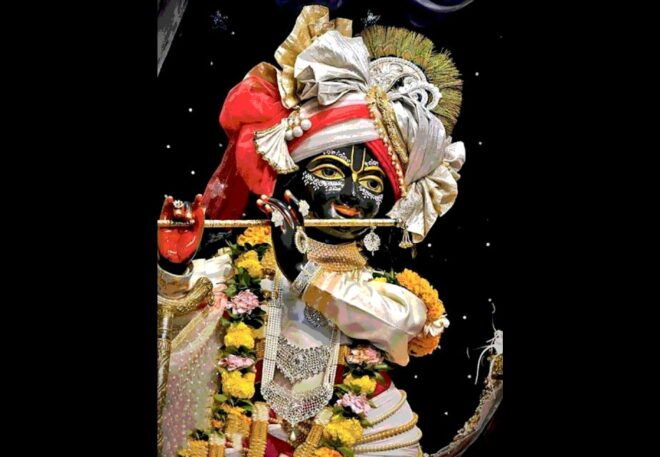 From Delhi: Private 1-day Mathura and Vrindavan Tour by Car - Important Notes for Travelers