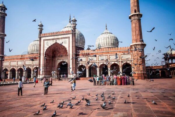 From Delhi: Private 4-Day Golden Triangle Luxury Tour - Exclusions