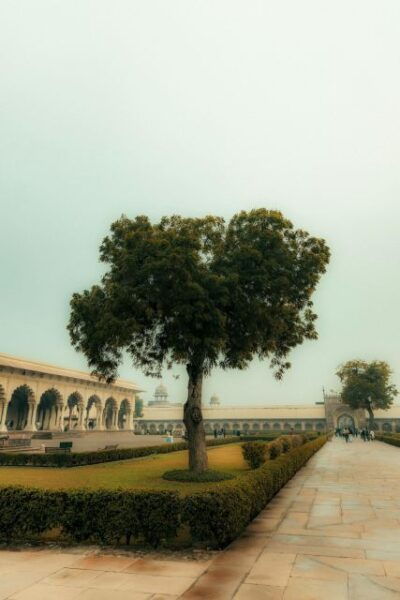 From Delhi: Private Agra Day Tour With Taj Mahal - The Sum Up