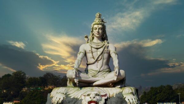 From Delhi: Private Day Tour to Haridwar and Rishikesh - Helpful Information and Feedback From Previous Visitors