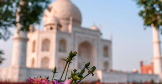 From Delhi: Private Delhi Agra Jaipur Golden Triangle Tour - Activity Itinerary