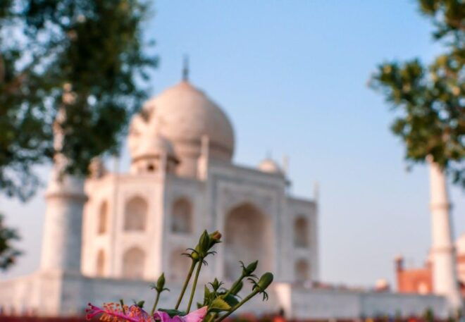 From Delhi: Private Delhi Agra Jaipur Golden Triangle Tour - Important Information