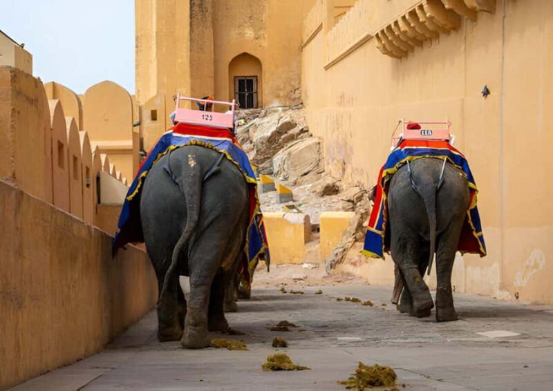 From Delhi: Private Jaipur full-day tour with expert guide - An In-Depth Look at the Jaipur Full-Day Tour