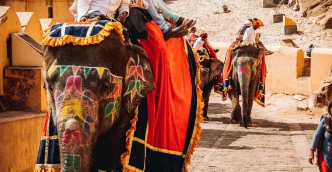 From Delhi: Private Jaipur Guided City Tour With Transfers - Guide