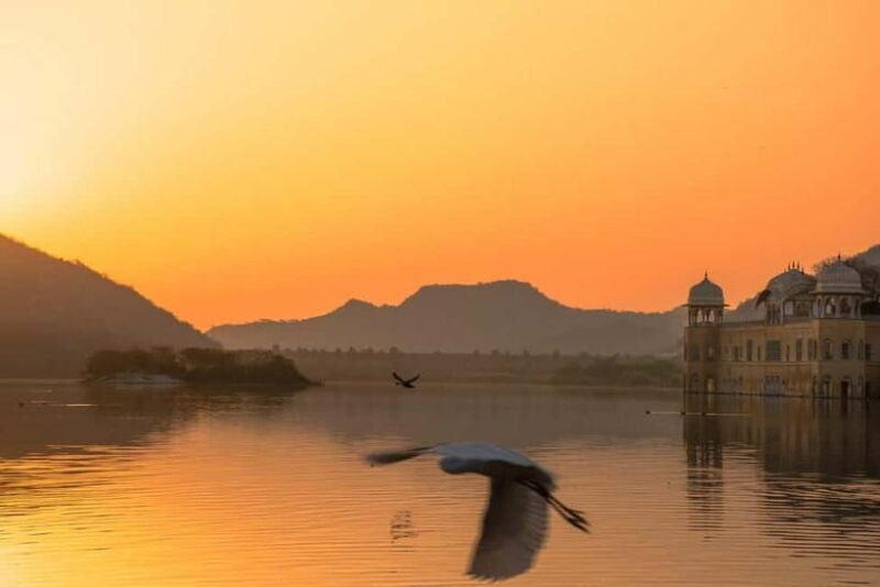 From Delhi: Private Jaipur Highlights Day Trip with Transfer - Final Thoughts: Is This Tour Worth It?