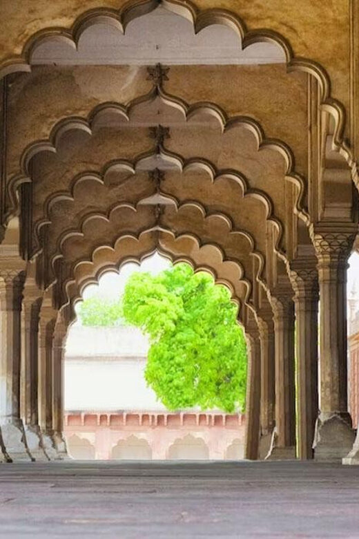 From Delhi: Private Taj Mahal & Agra Tour with 5* Lunch - Practical Details and Tips