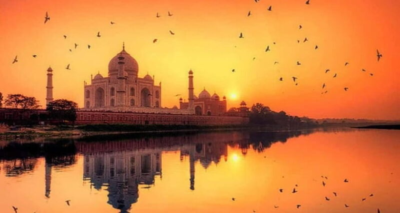 From Delhi: Private Taj Mahal & Agra Tour with 5* Lunch - The Sum Up