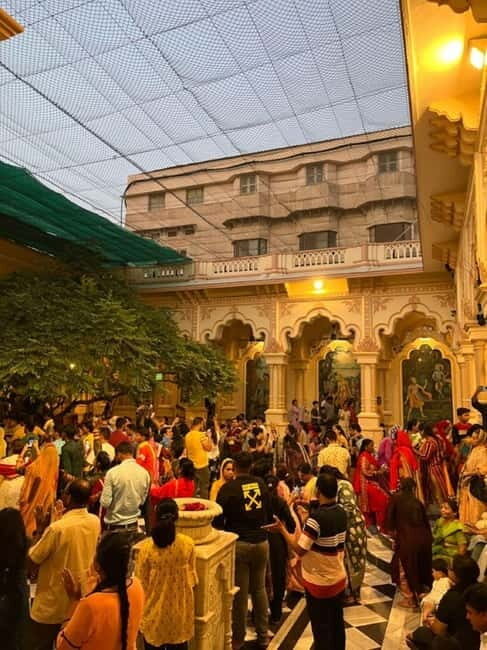 From Delhi: Private Taj Mahal and Mathura & Vrindavan Tour - Practical Details and Tips