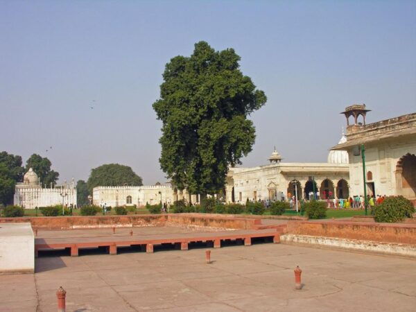 From Delhi : Private Taj Mahal Day Tour All Inclusive - Common Questions