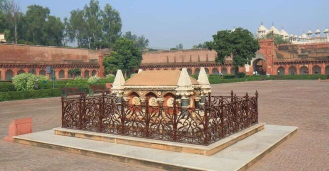 From Delhi: Private Tour Old Delhi & New Delhi - Customer Review