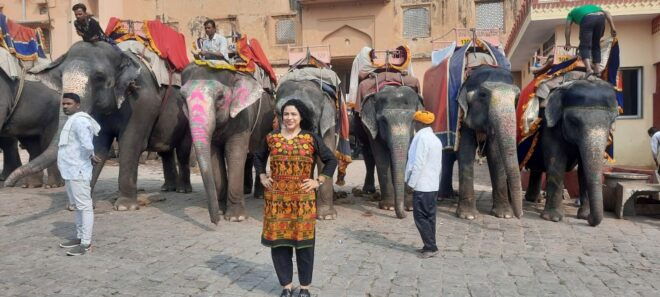 From Delhi: Same Day Tour of Jaipur by Private AC Car - Additional Information