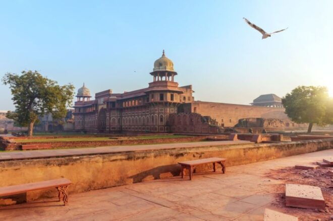 From Delhi: Sunrise Taj and Agra Private Tour By Car - Inclusions
