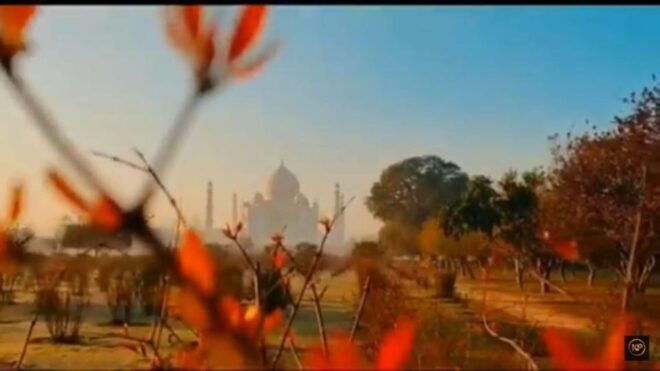From Delhi: Sunrise Taj Mahal & Agra Day Tour by Private Car - Important Information