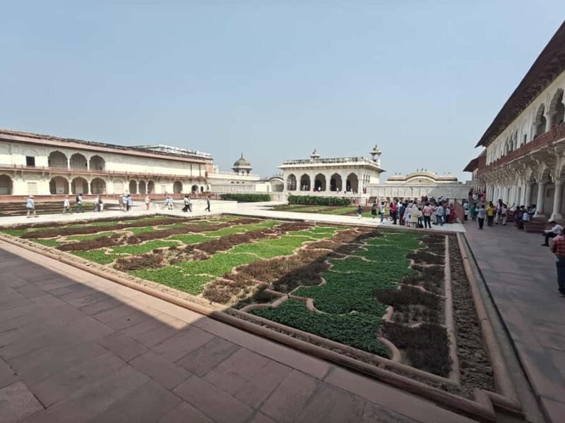 From Delhi: Sunrise Taj Mahal & Elephant Sanctuary Day Trip - FAQs