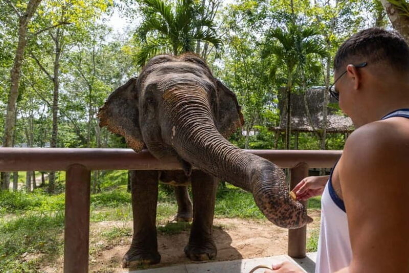 From Delhi: Taj Mahal, Agra Fort & Elephant Center Day Trip - Good To Know