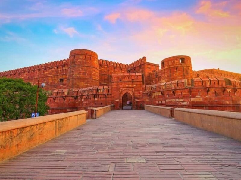 From Delhi: Taj Mahal & Agra Private Day Tour with Transfers - The Experience: What You Can Expect