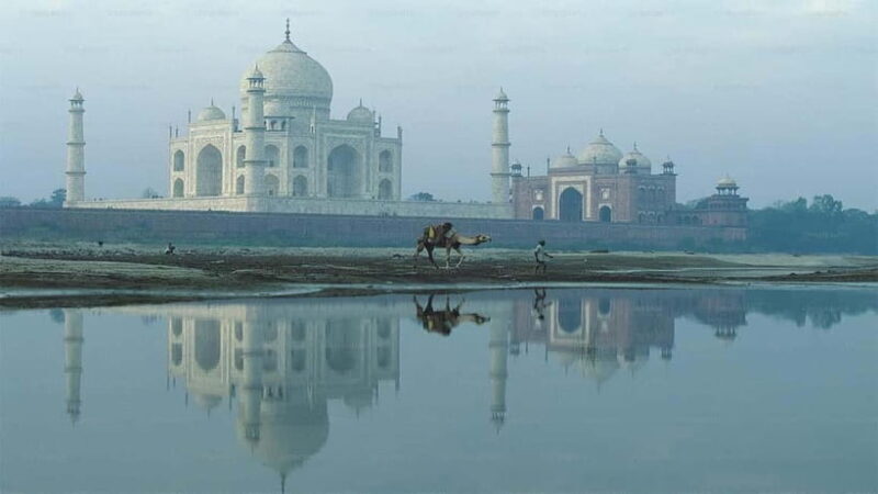 From Delhi: Taj Mahal & Agra Private Day Trip With 5* Lunch - The Itinerary Breakdown