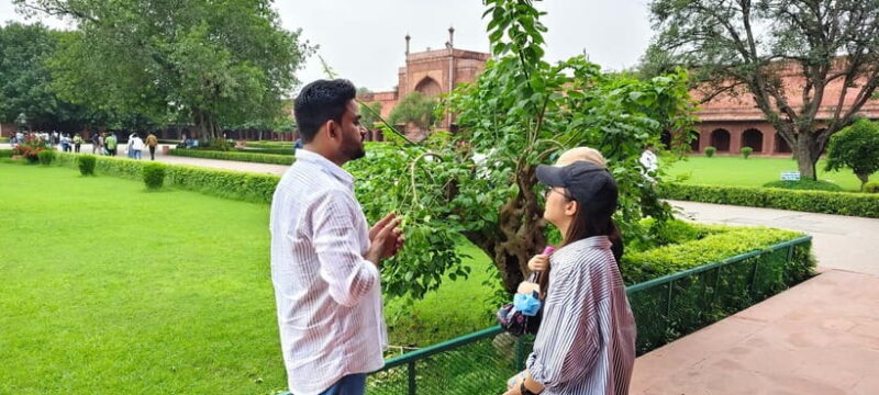 From Delhi: Taj Mahal & Agra Tour by Gatimaan Express Train - Luxurious Lunch at a 5-Star Hotel