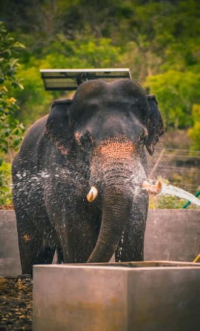 From Delhi: Taj Mahal & Agra Tour & Elephant SOS & 5*Lunch - Introduction: Why This Tour Might Be Just Right for You