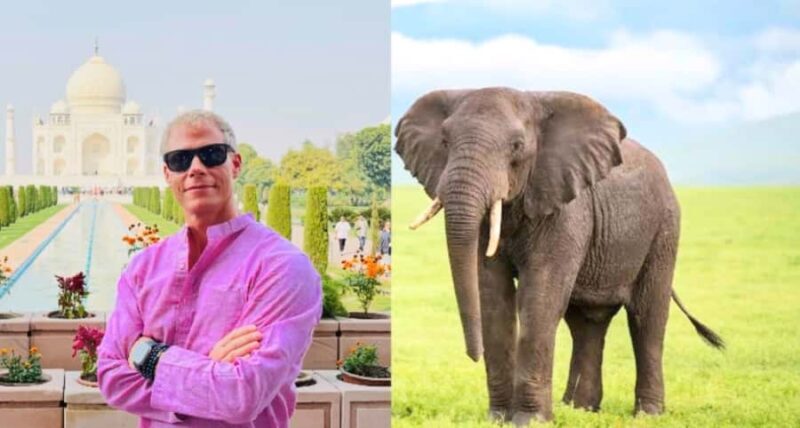 From Delhi: Taj Mahal & Agra Tour With Elephant Conversation - Introduction