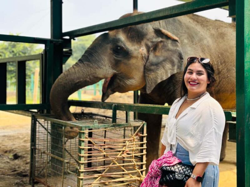 From Delhi: Taj Mahal & Agra Tour With Elephant Conversation - Authentic Insights from Reviews