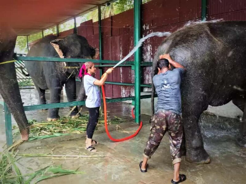 From Delhi: Taj Mahal & Agra Tour with Elephant Wildlife SOS - Final Thoughts: Who Is This Tour Best For?