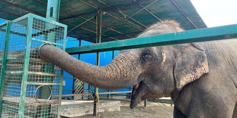 From Delhi: Taj Mahal & Agra Tour with Elephant Wildlife SOS - Exploring the Itinerary in Detail