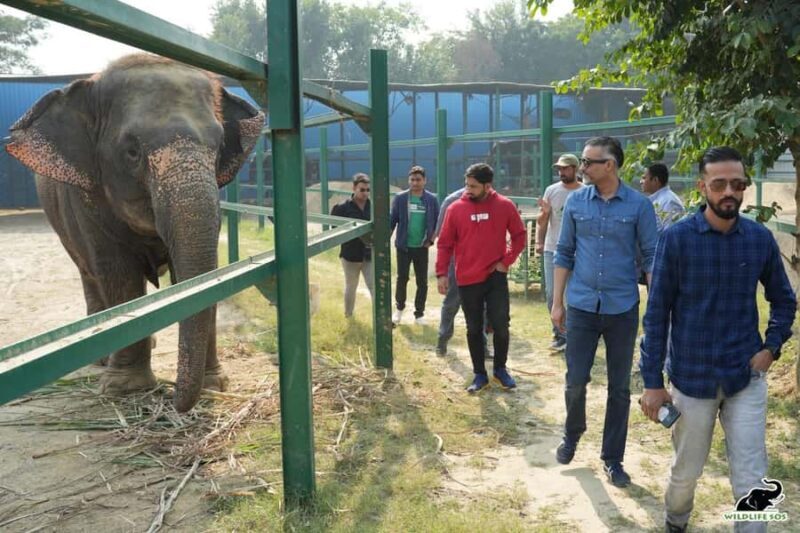 From Delhi: Taj Mahal & Agra Tour with Elephant Wildlife SOS - The Sum Up