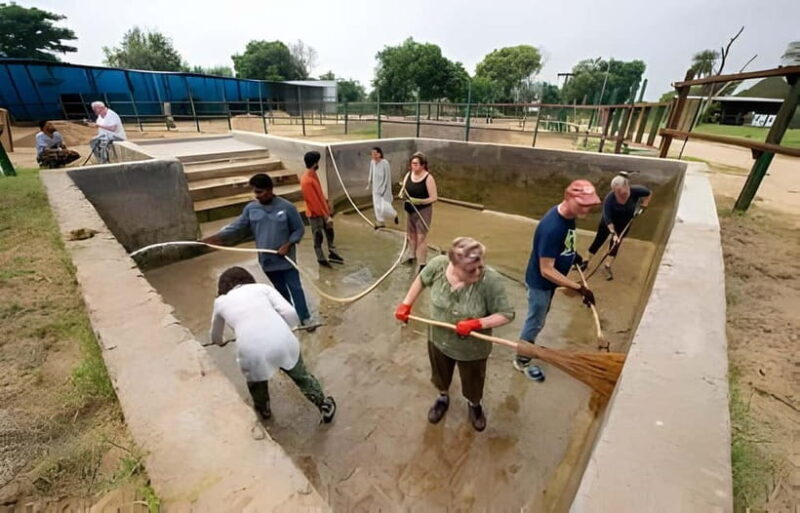 From Delhi: Taj Mahal, Elephant & Bear Wildlife Tour By Car - FAQ